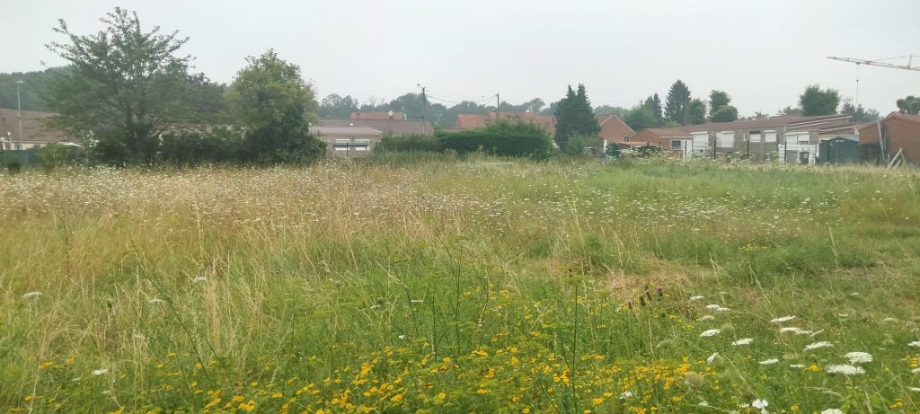 IMG20240802104105